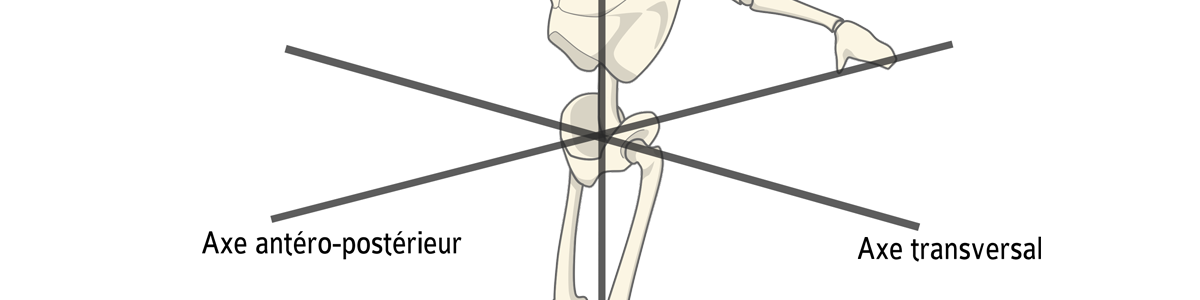 comment gérer l'équilibre postural