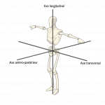 comment gérer l'équilibre postural