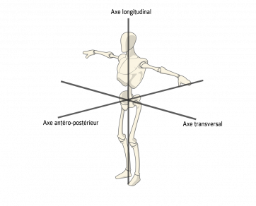 comment gérer l'équilibre postural