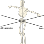 comment gérer l'équilibre postural