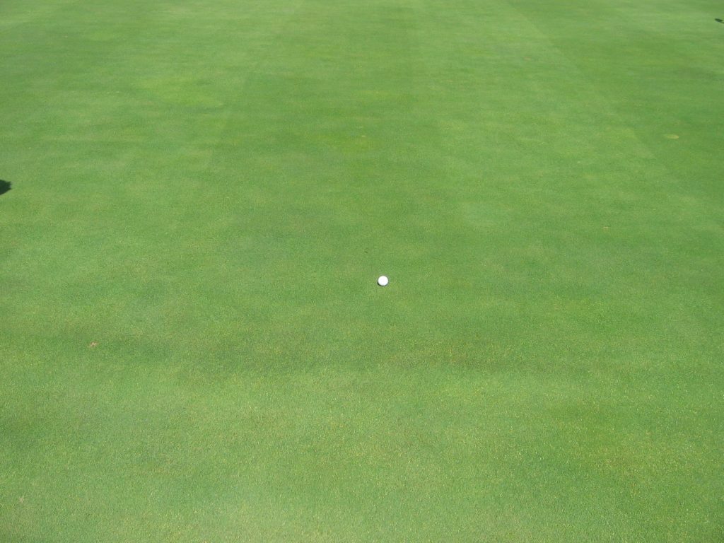 9-08-08-026-1024x768 le putting au Golf