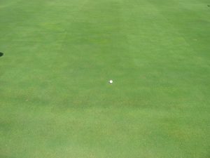 9-08-08-026-300x225 Utilisateur/utilisatrice