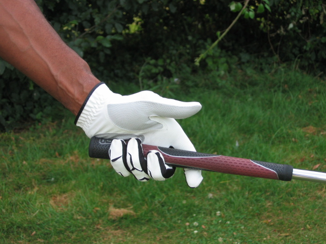 IMG_3458 La prise du club par les mains