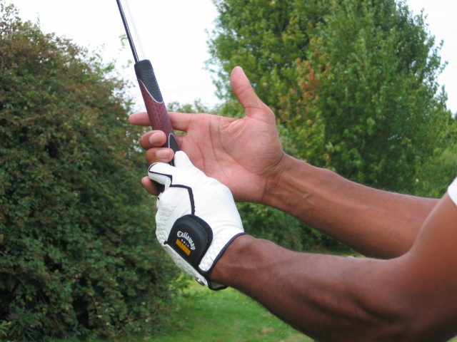 IMG_3460-1 La prise du club par les mains