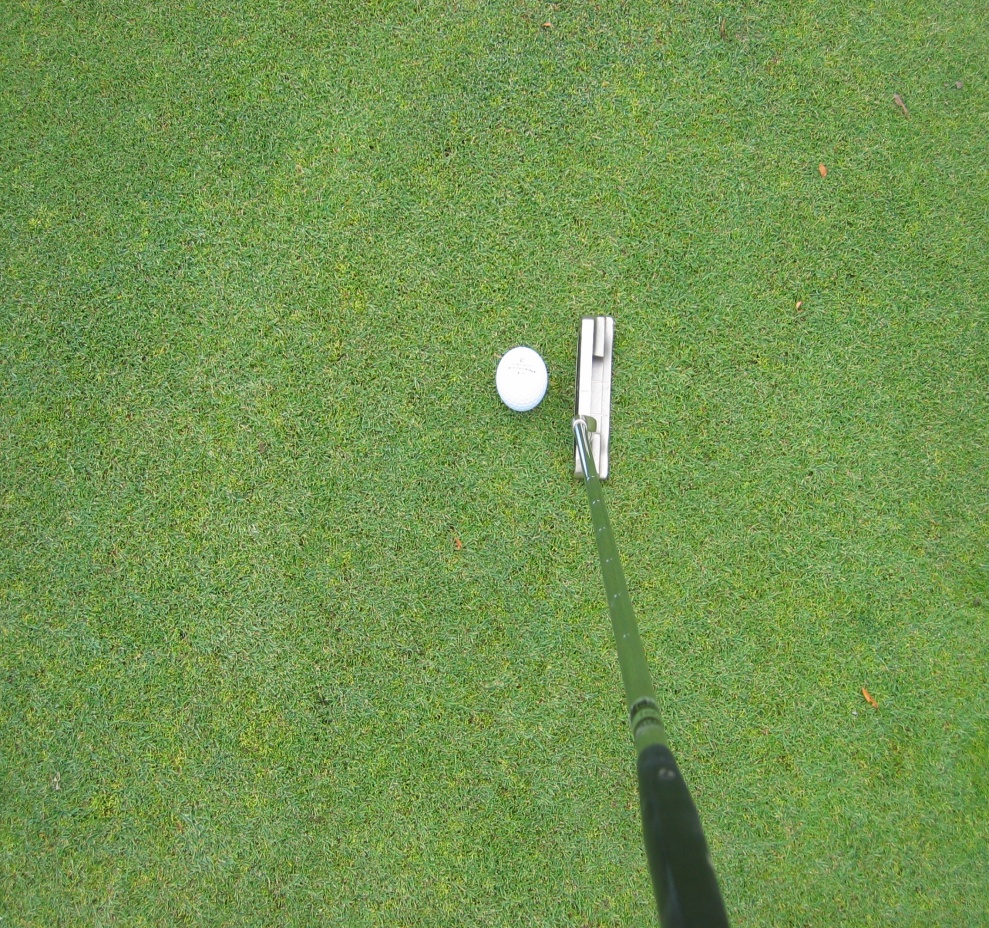 LIGNE-DE-PUTT le putting au Golf